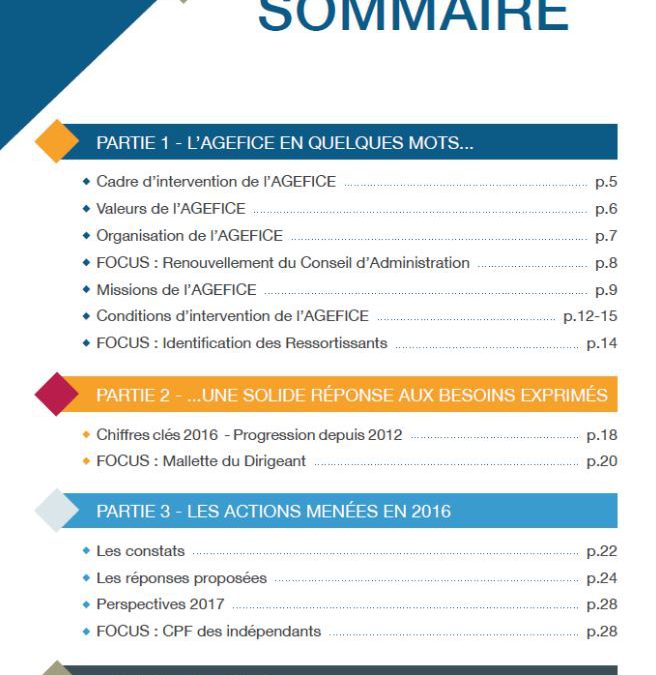 L’AGEFICE publie son rapport d’activité 2016